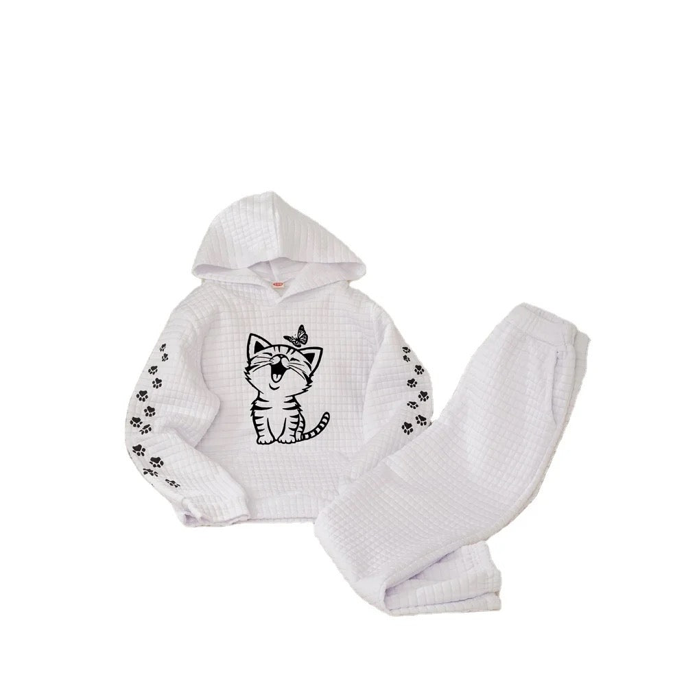 Girls pullover hoodie and pants set FSH