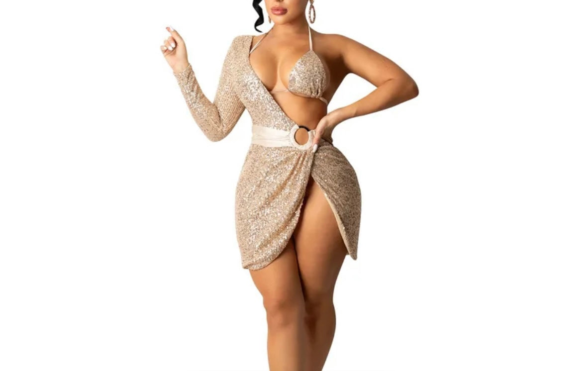 Ladies casual sequined night club sexy dress