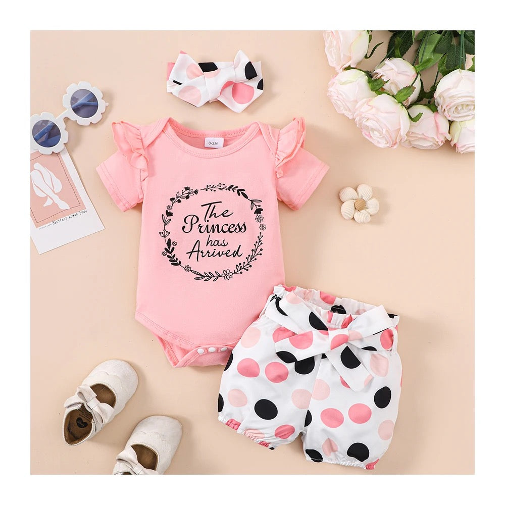 Infants clothing set for girls two piece (FSH)