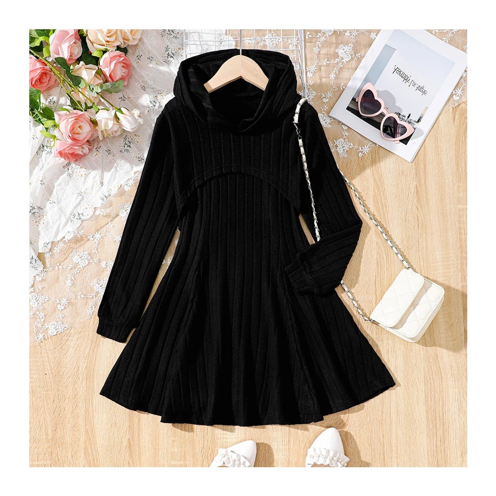 Girls long sleeve casual 2 Pc hooded knit dress FSH