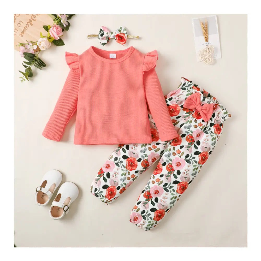 Baby girl winter 2 pc set FSH